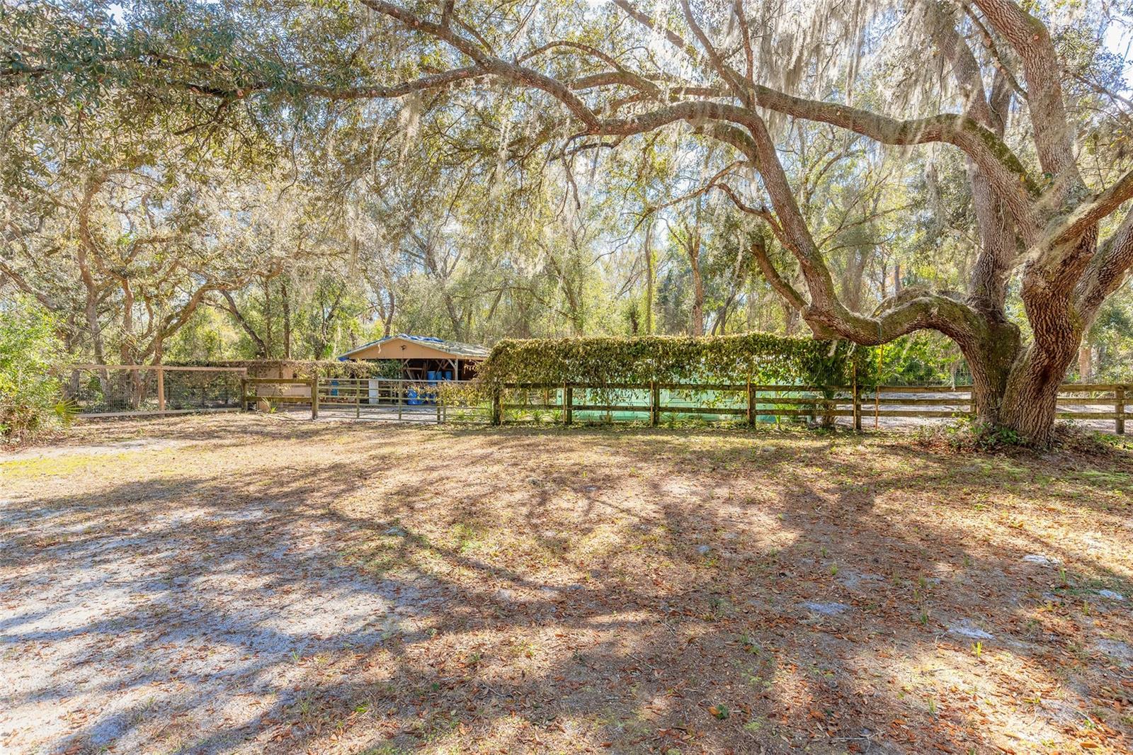 Image 35 of 49 For 1501 Dillard Road