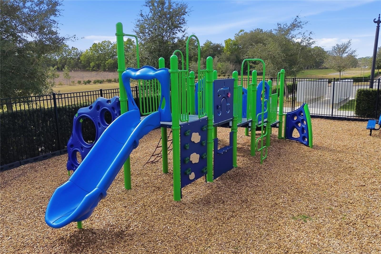 Image 20 of 21 For 1539 Peach Creek Drive