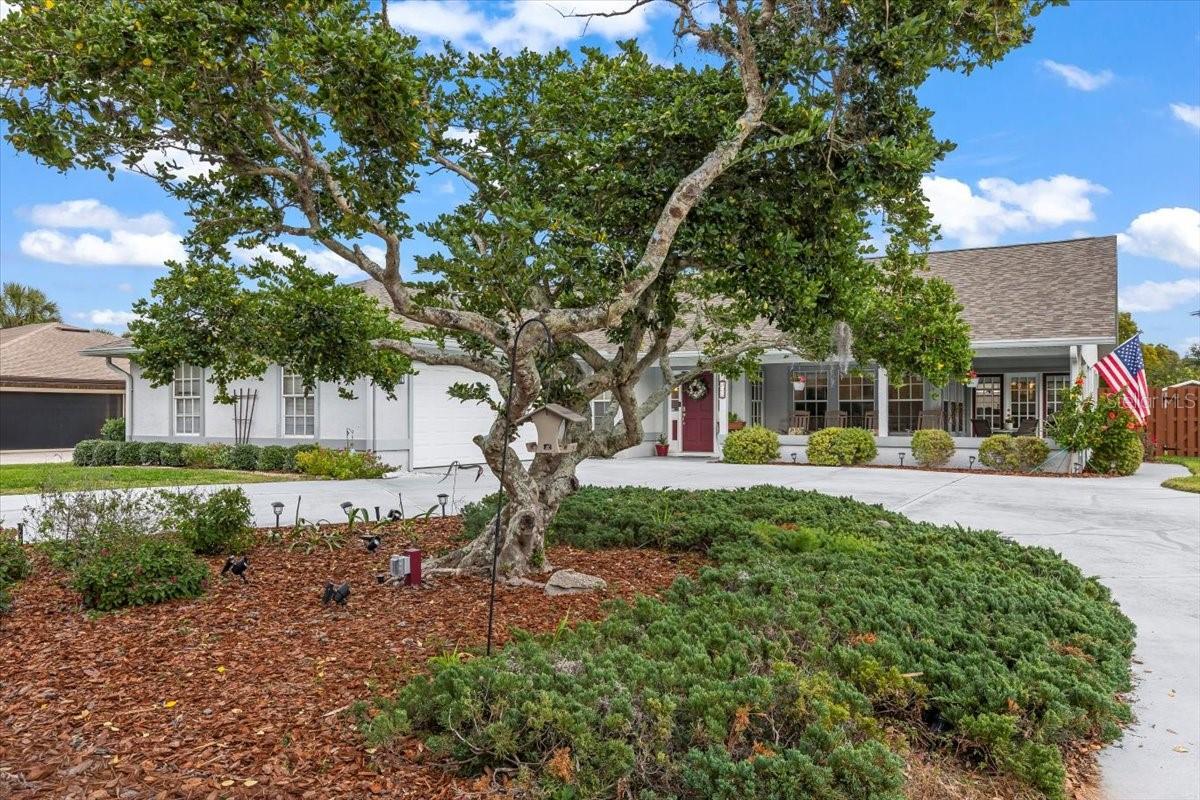 Image 50 of 66 For 132 Sea Street