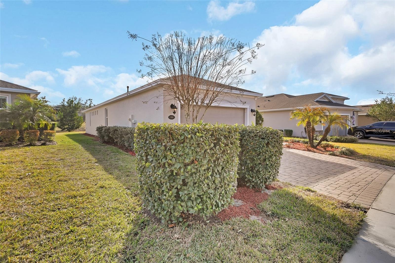 Image 5 of 40 For 509 Adenmore Terrace