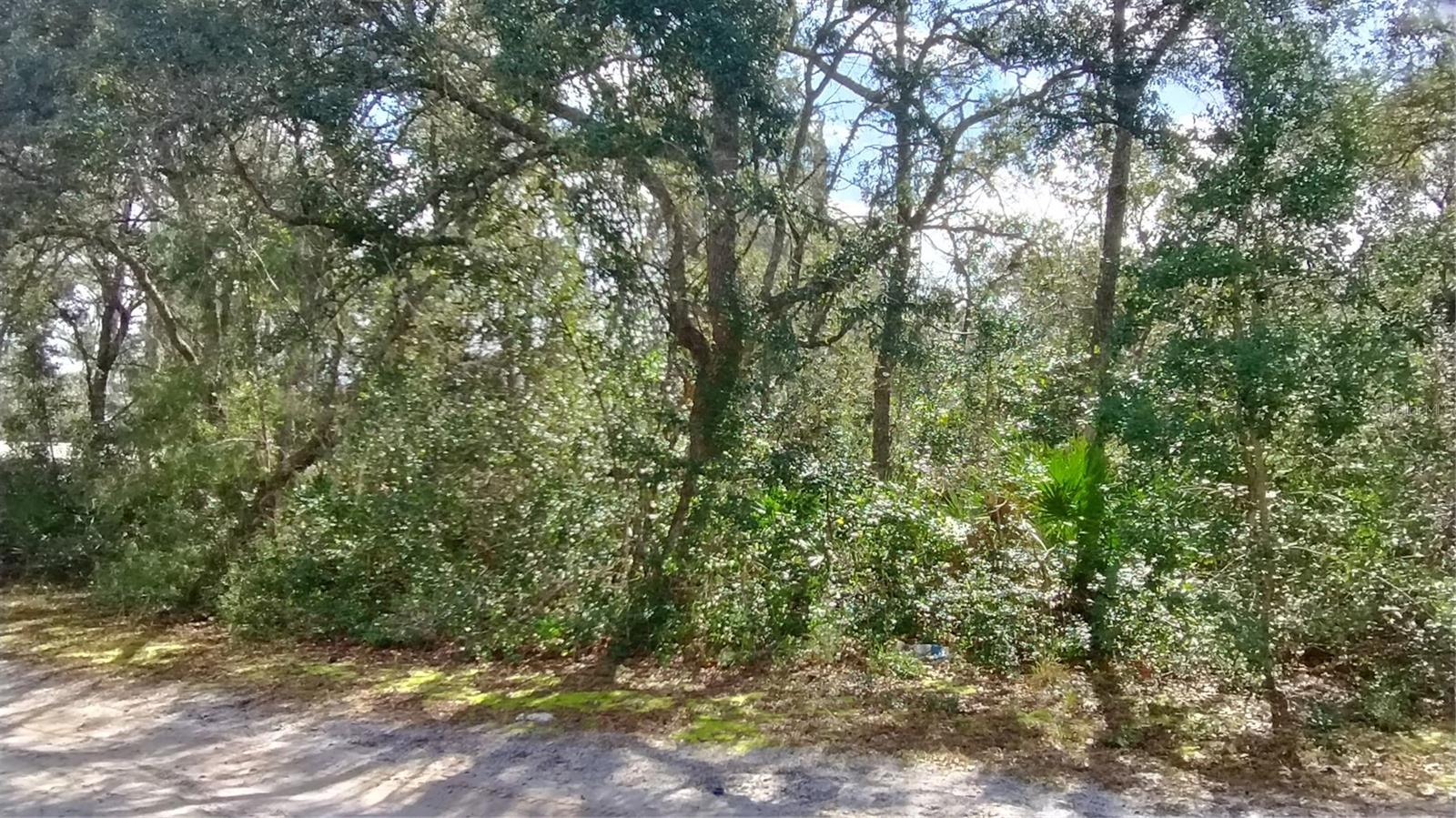 Image 25 of 27 For 28515 Poinsettia Avenue