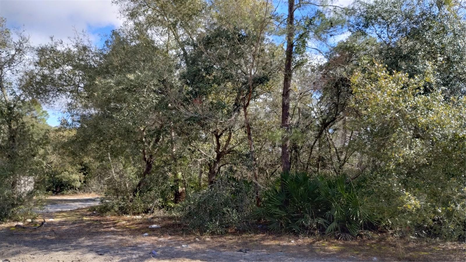 Image 26 of 27 For 28515 Poinsettia Avenue