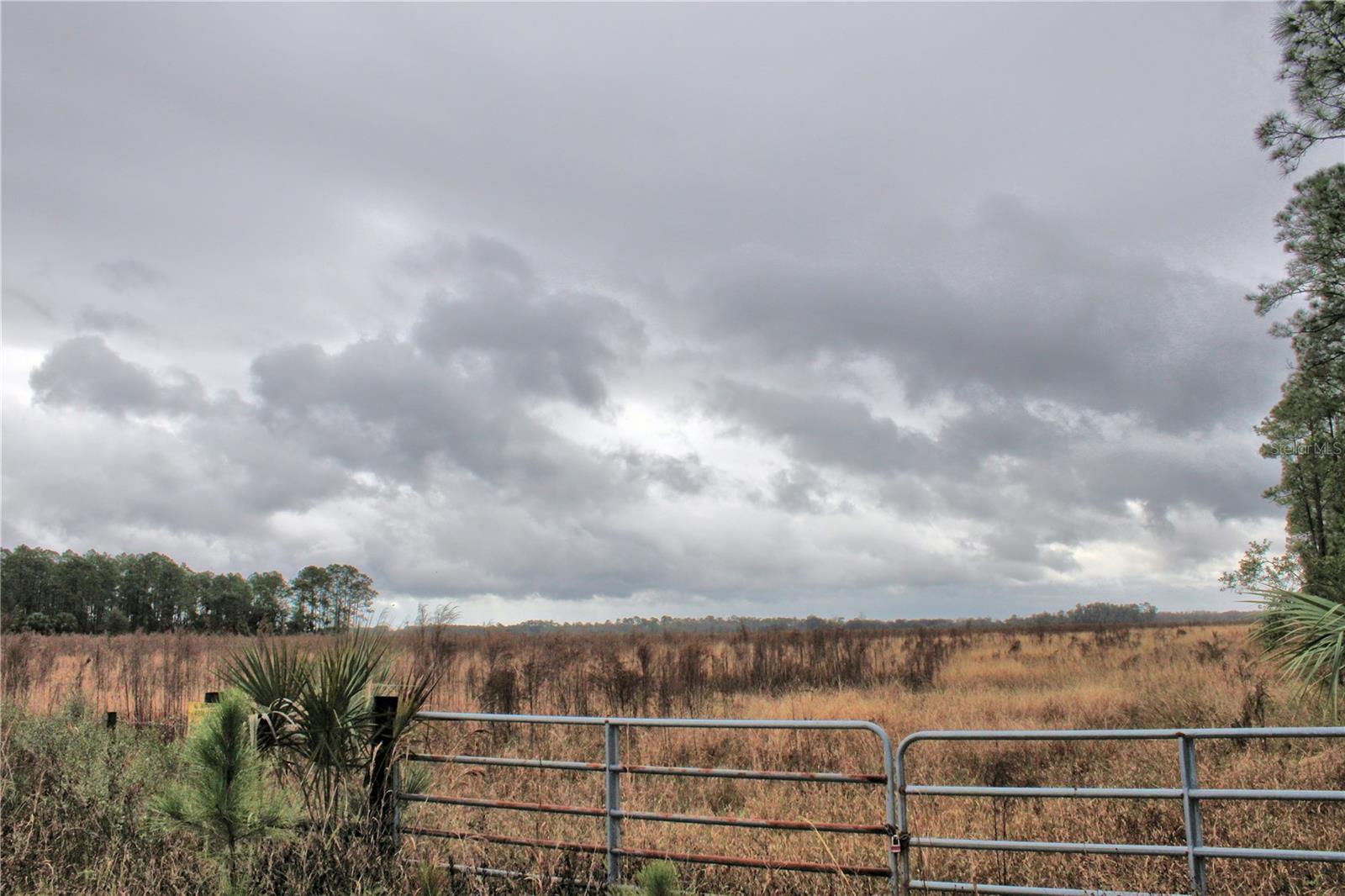 Image 3 of 9 For 849 Ashby Way