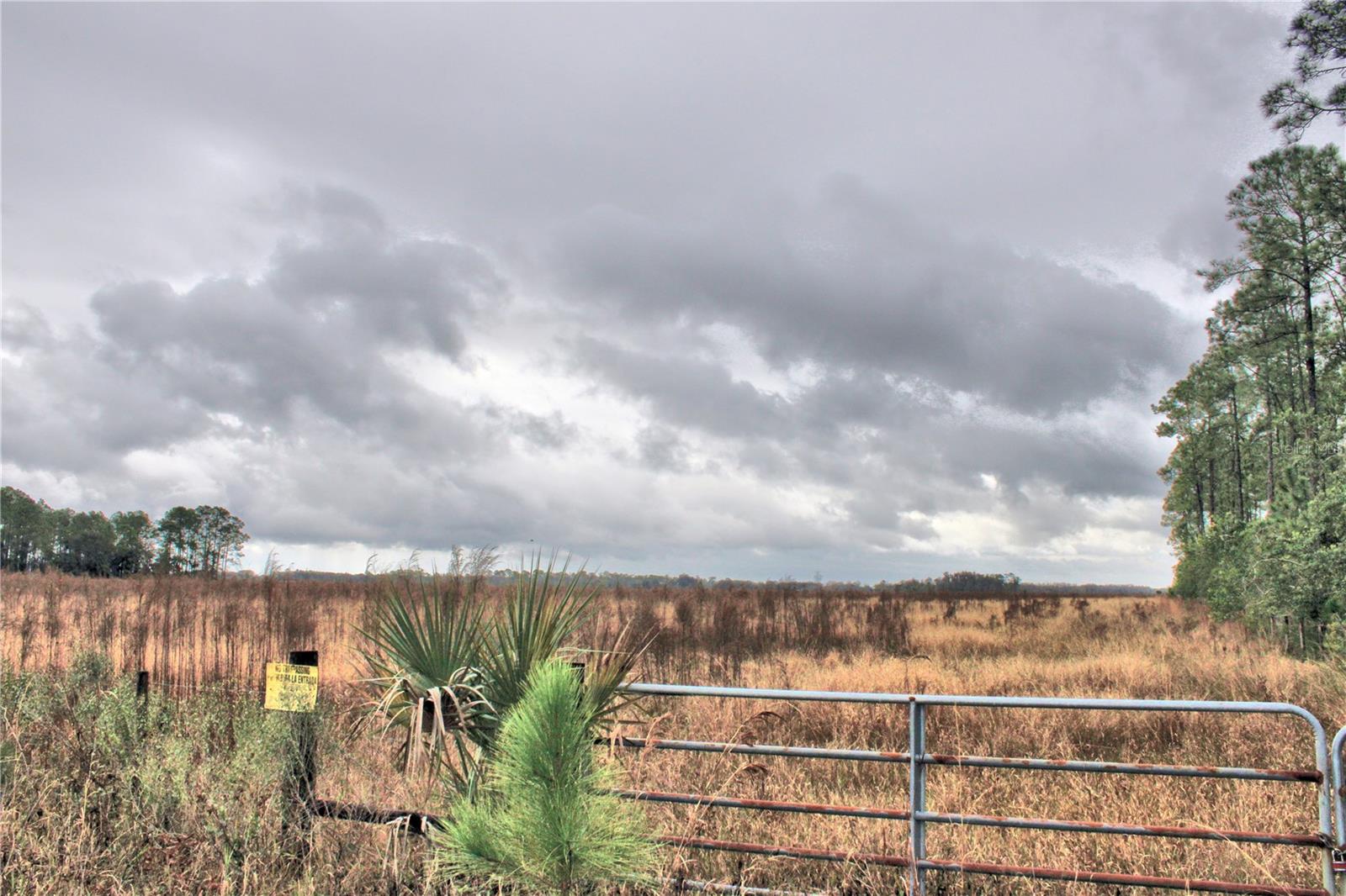 Image 4 of 9 For 849 Ashby Way