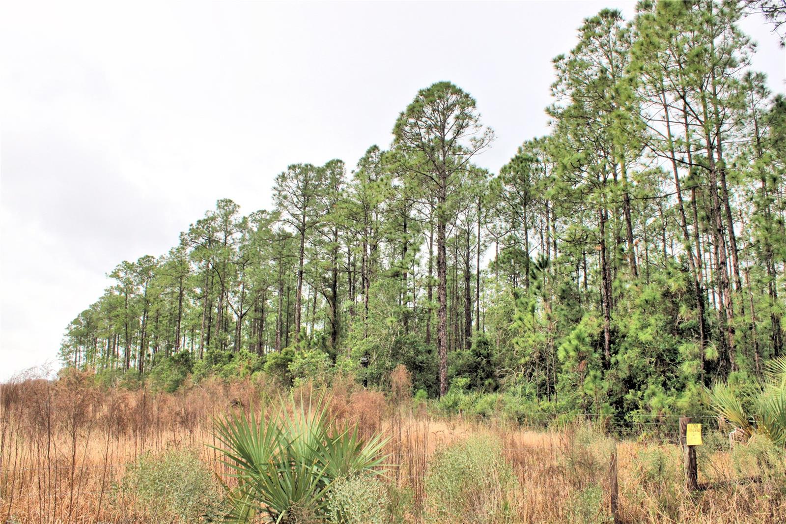 Image 5 of 9 For 849 Ashby Way