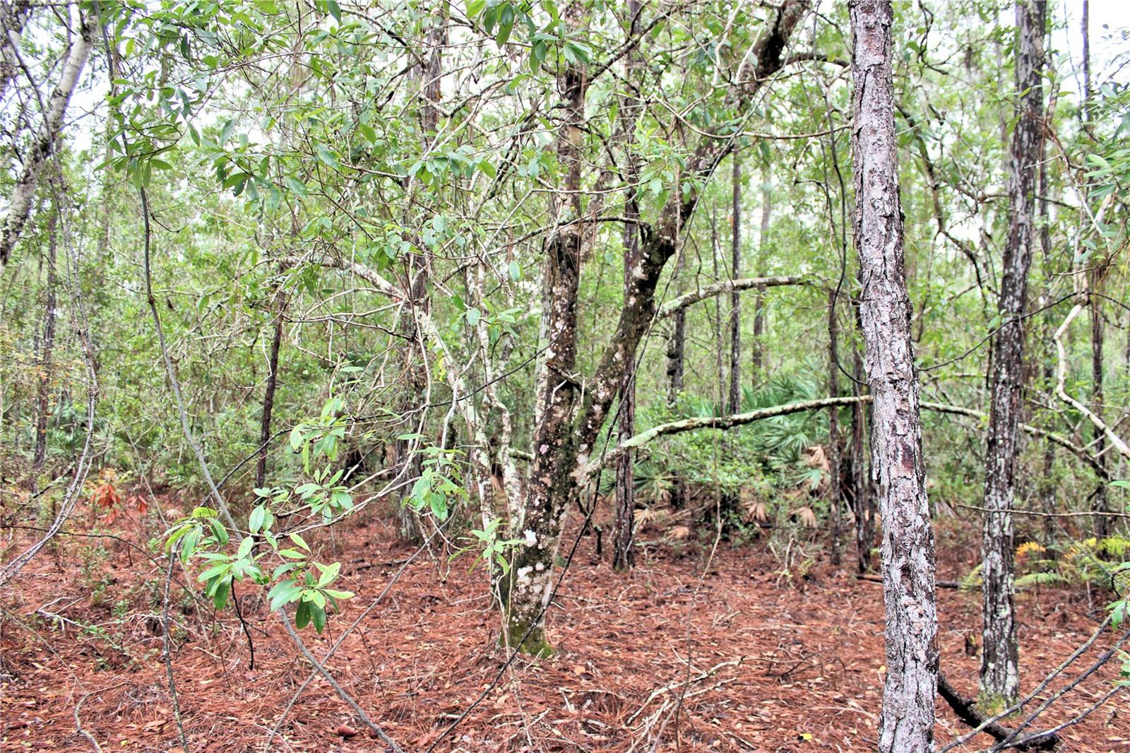 Image 9 of 9 For 849 Ashby Way