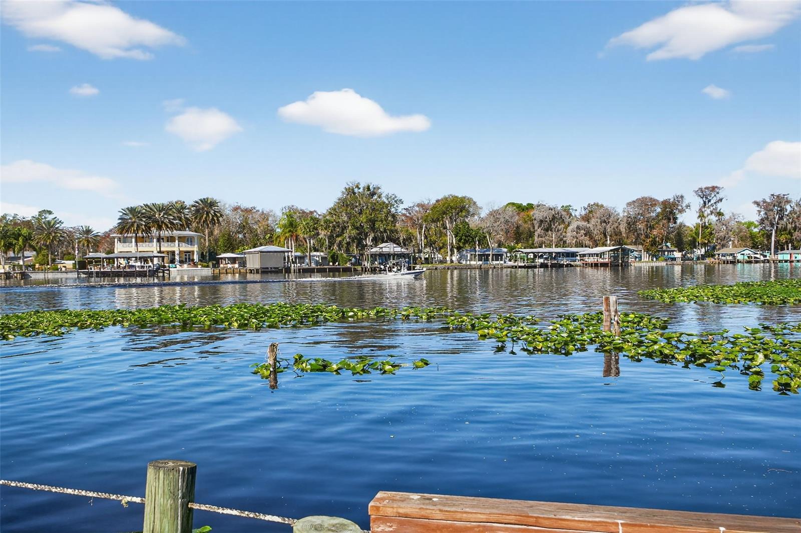 Image 4 of 61 For 1640 Juno Trail 102a