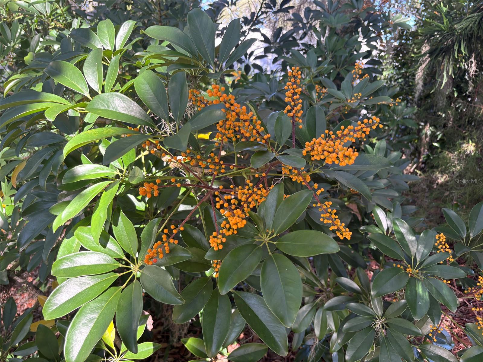 Image 38 of 40 For 324 Alemander Avenue