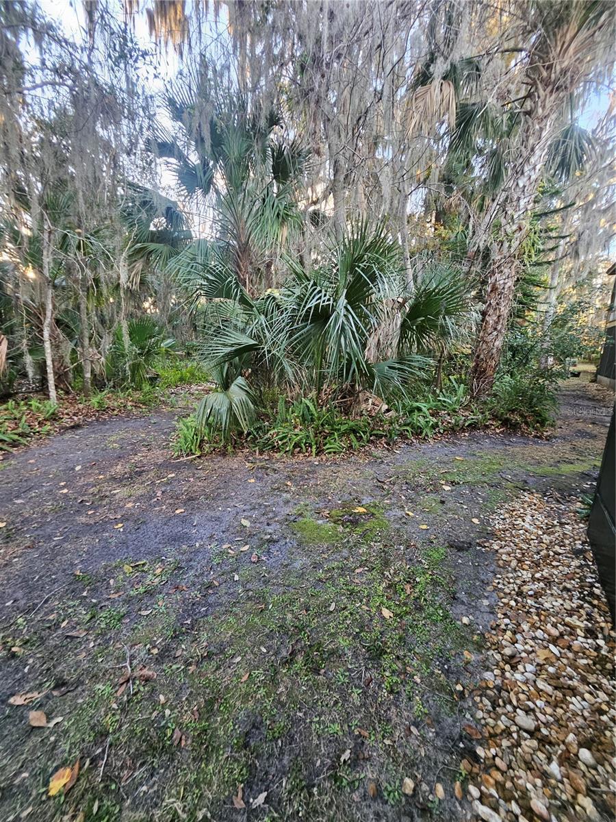 Image 16 of 19 For 140 Orchid Woods Court 6a