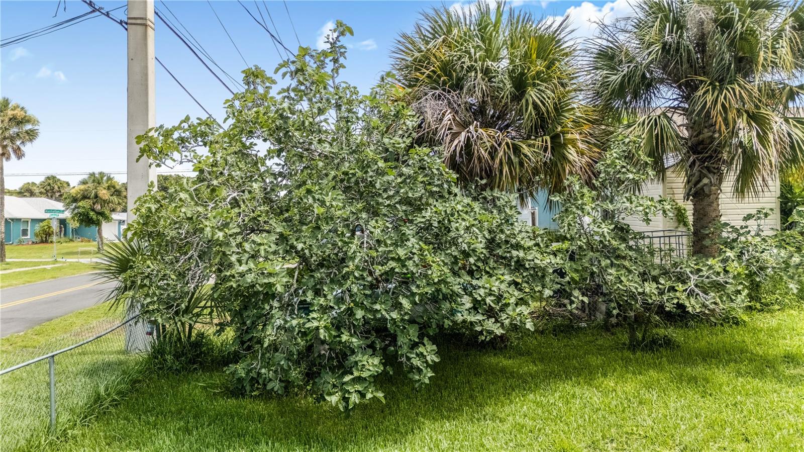 Image 9 of 37 For 1420 Grandview Avenue