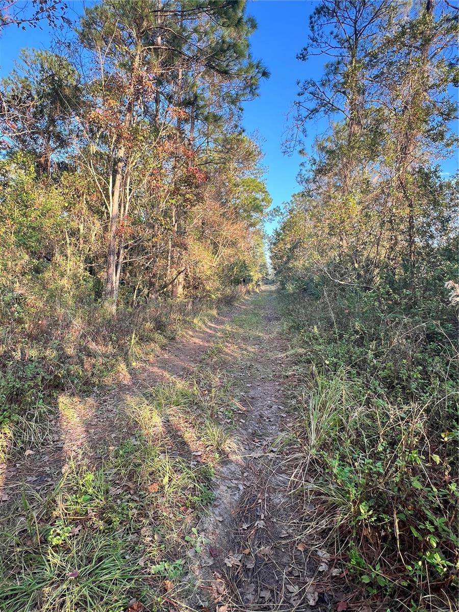 Details for University Highlands- Deland C, DELAND, FL 32724