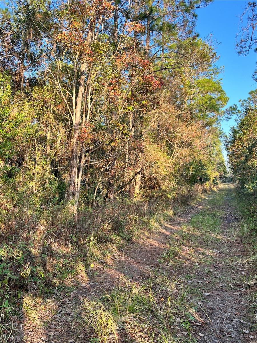 Image 3 of 3 For University Highlands- Deland C