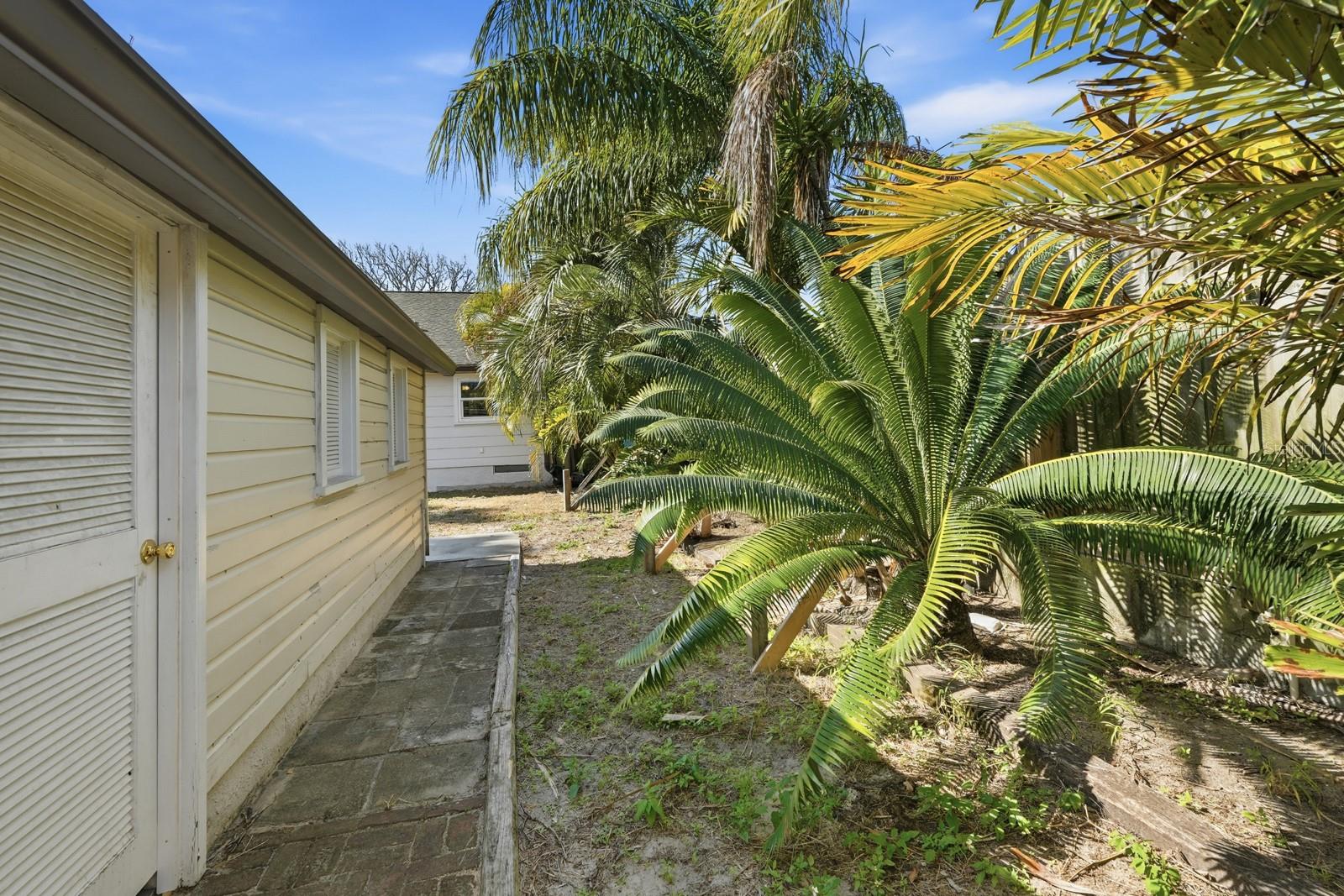 Image 31 of 54 For 21 Halifax Avenue