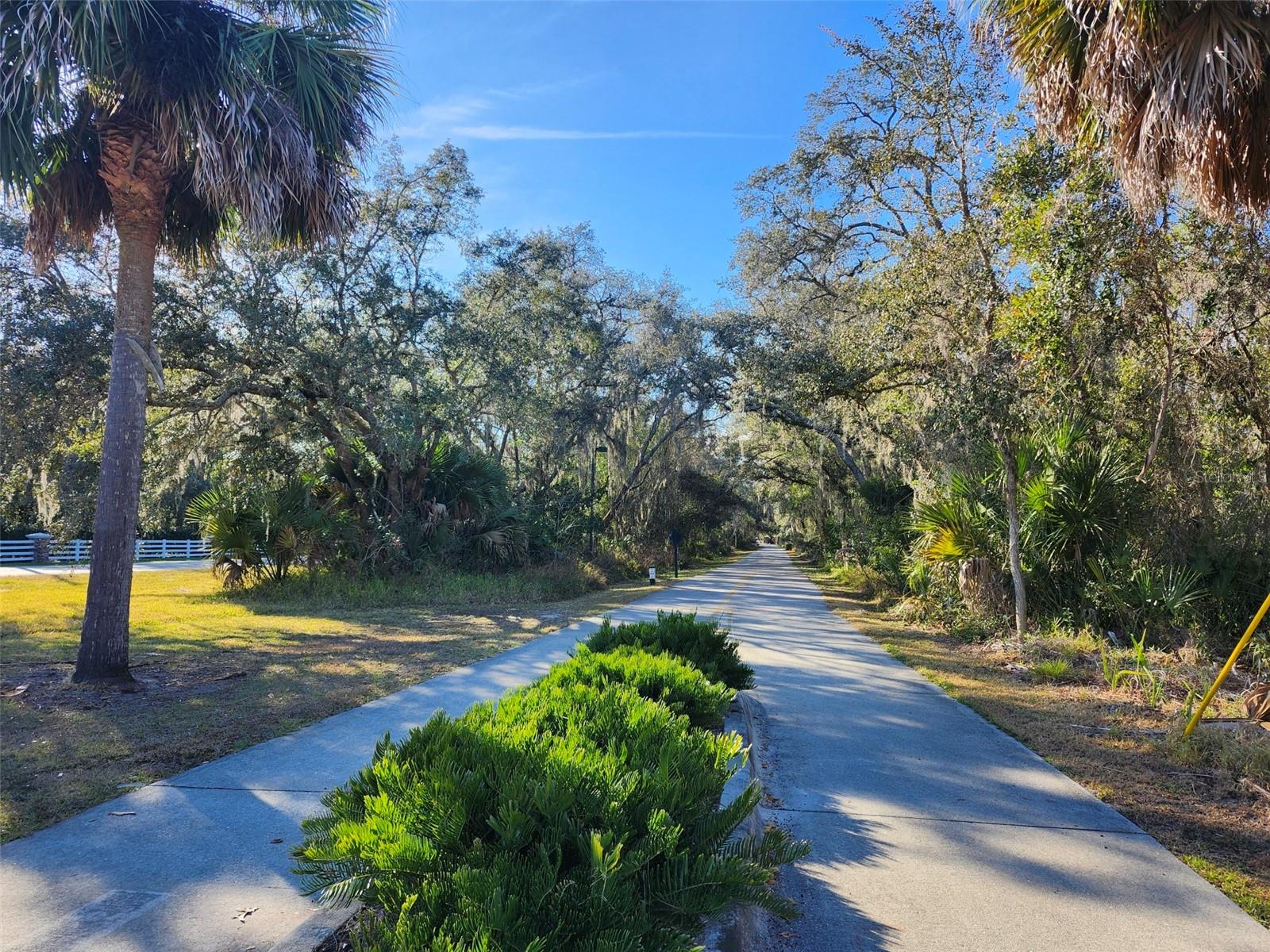 Image 52 of 53 For 7220 Lake Drive