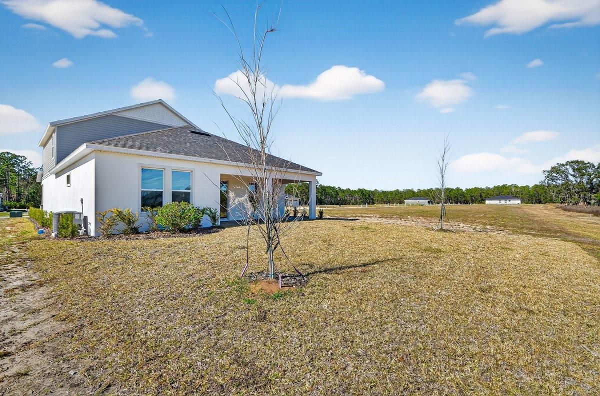 Image 8 of 64 For 1262 Champions Drive