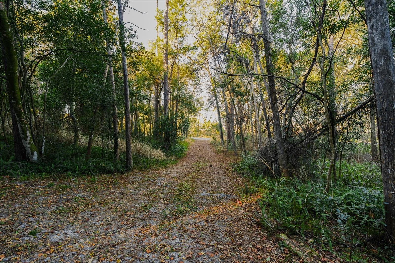 Image 37 of 44 For 1325 Spring Garden Avenue