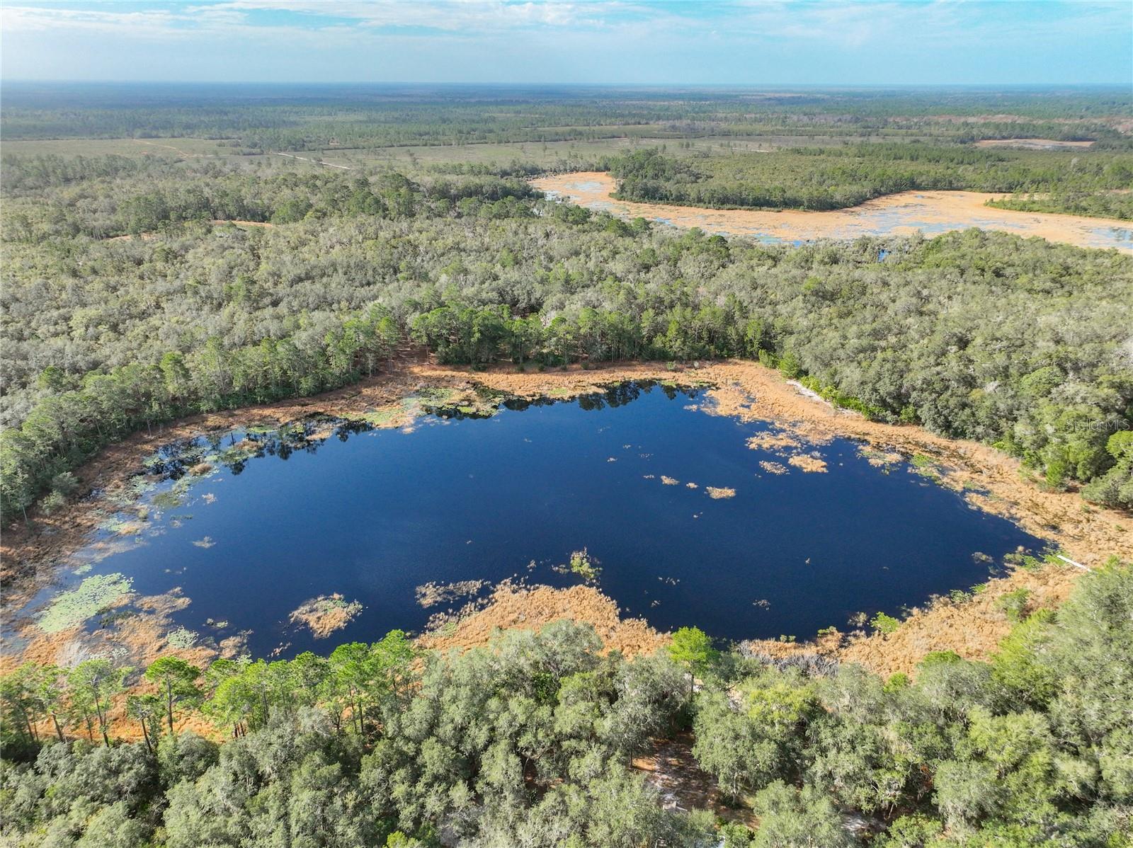 Image 71 of 71 For 32600 Red Oak Drive