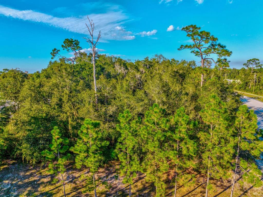 Listing photo id 34 for 330 Bonnie Lane