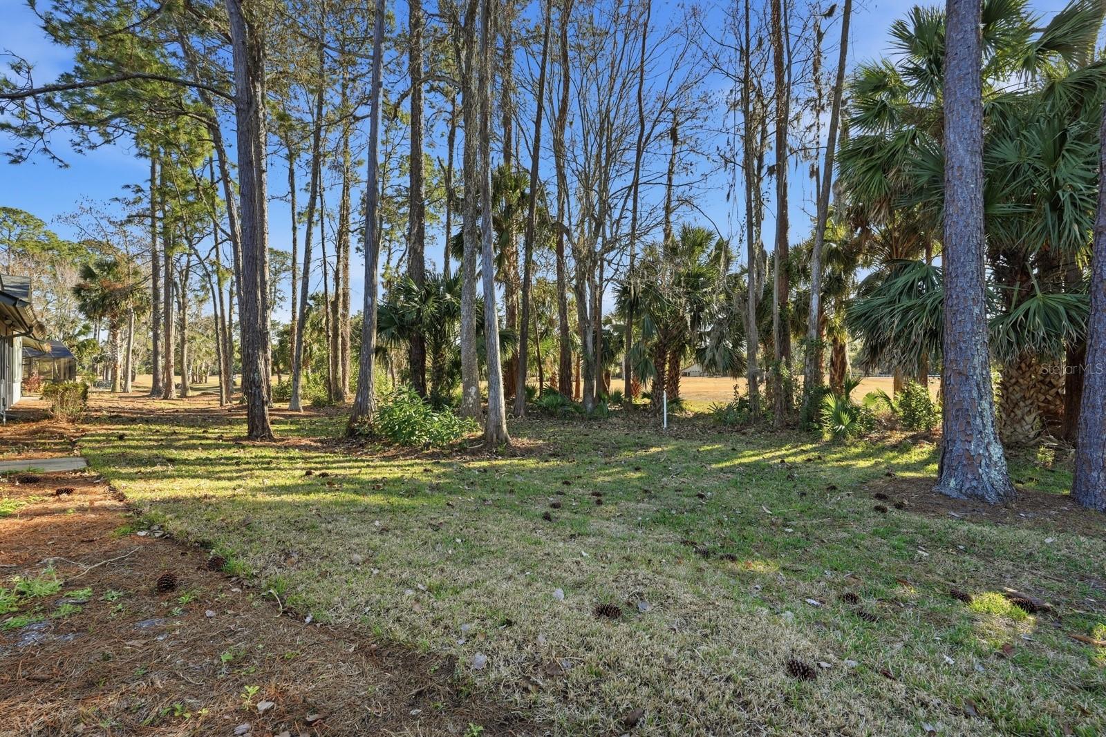 Image 37 of 51 For 57 Weymouth Lane