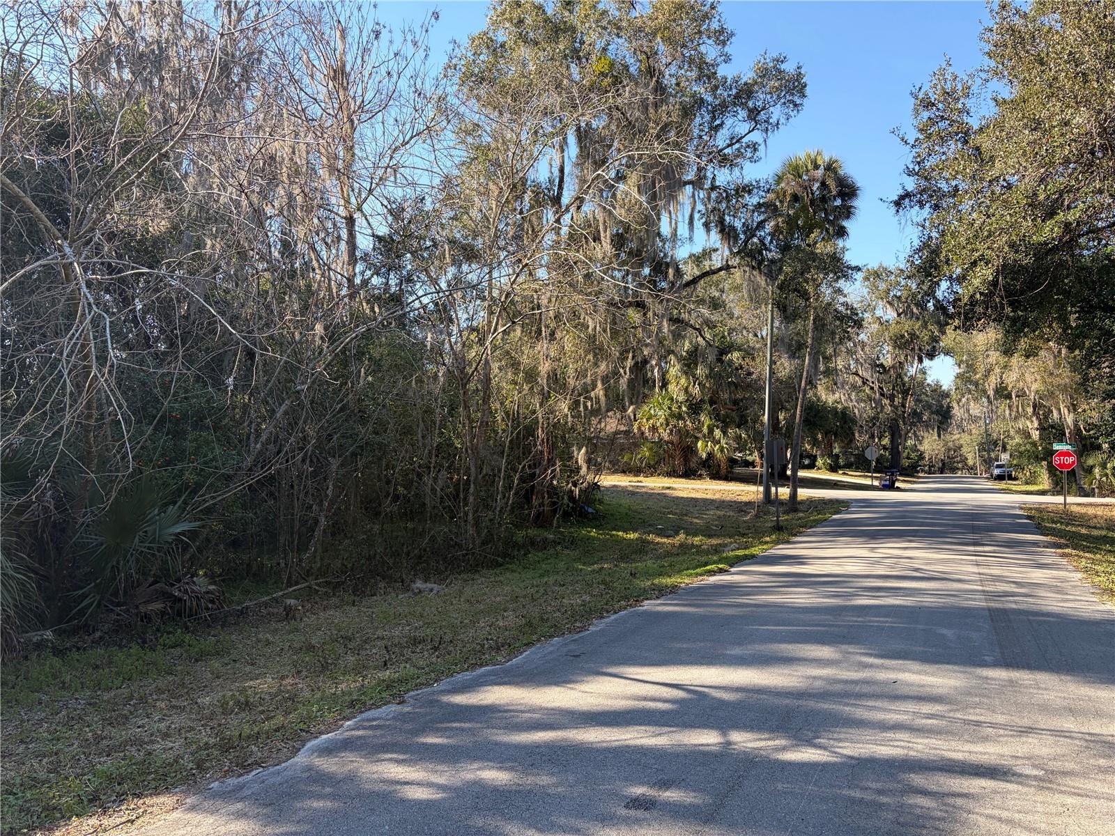 Image 5 of 6 For Lot 16 Quebec Avenue