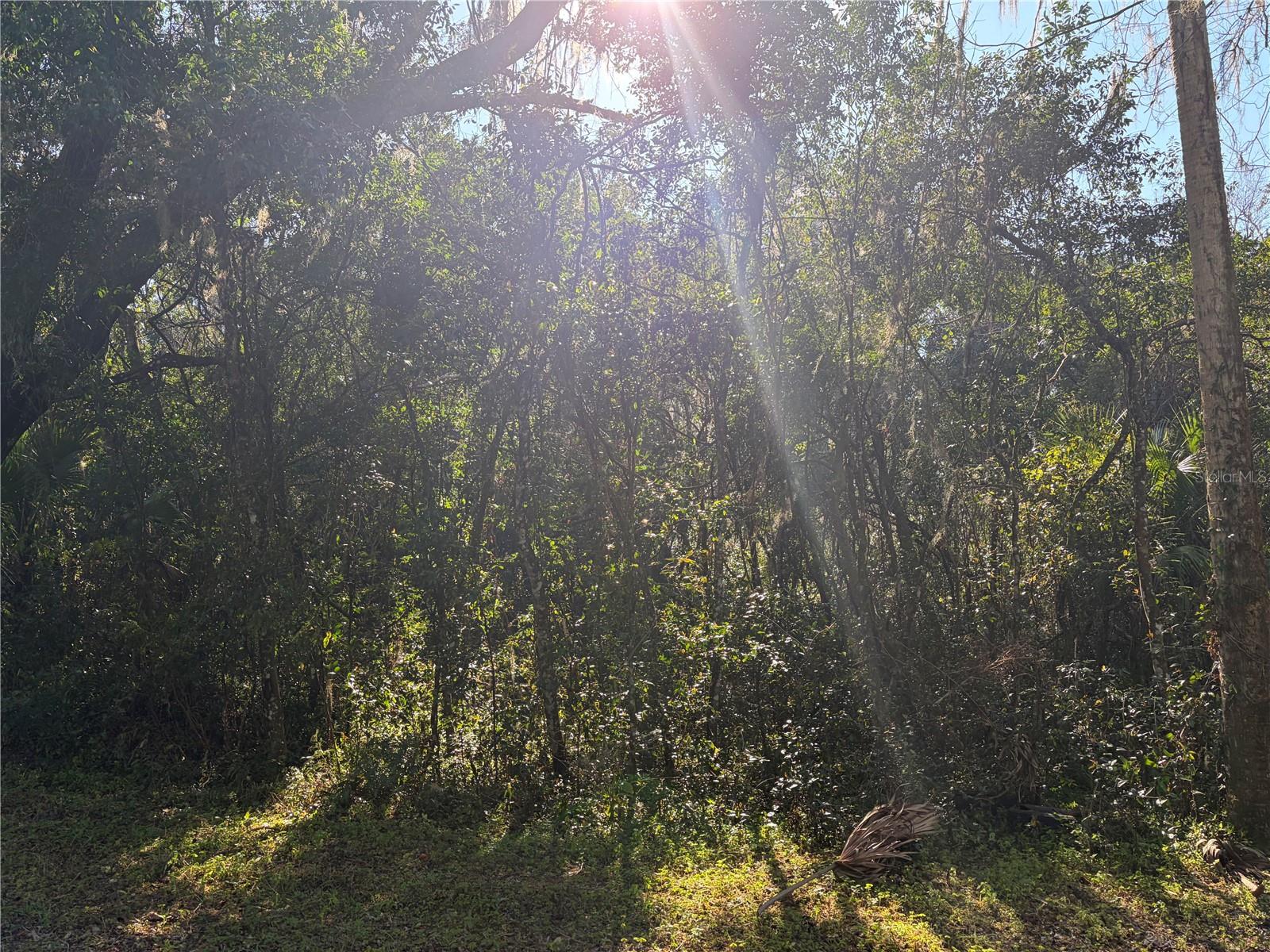 Image 6 of 6 For Lot 16 Quebec Avenue