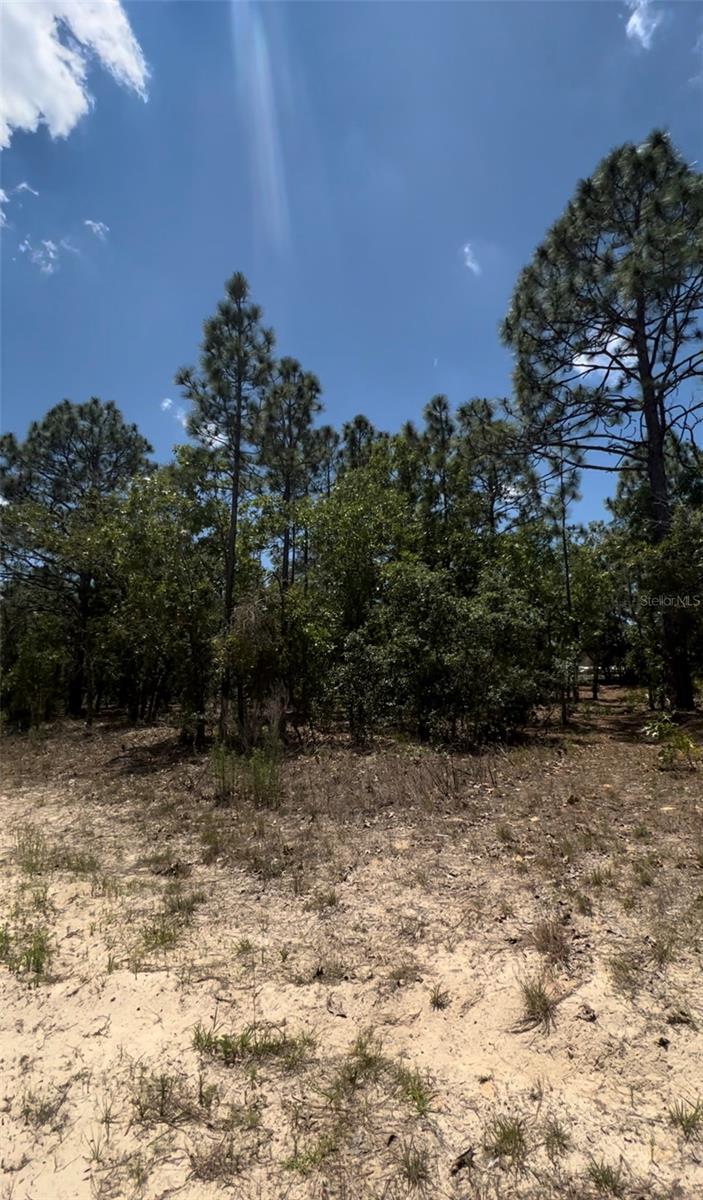 Details for 6818 Waycross Way, CITRUS SPRINGS, FL 34433