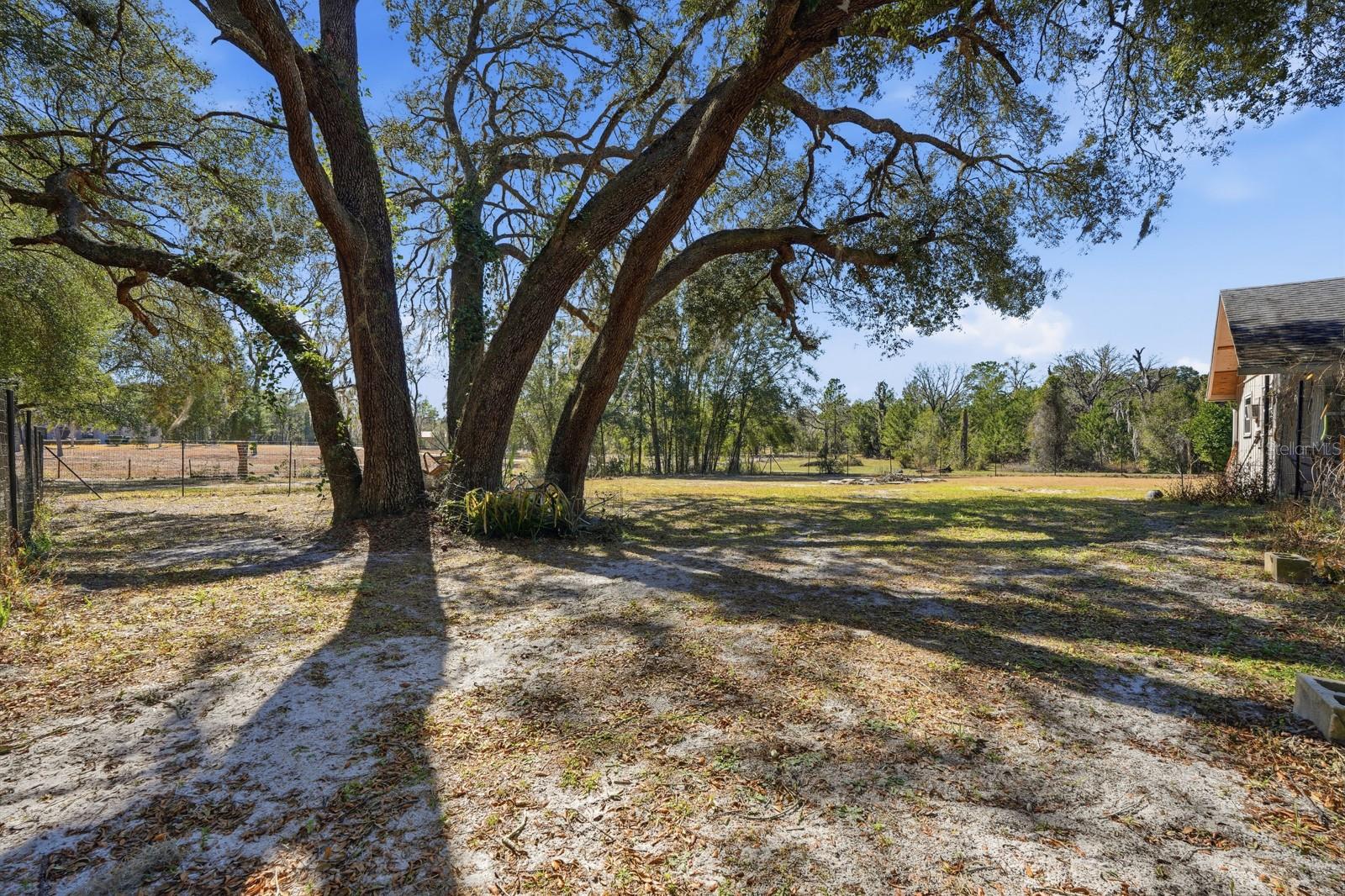 Image 35 of 49 For 1500 French Avenue