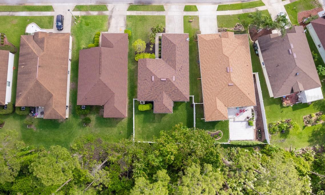 Image 5 of 24 For 341 Dahoon Holly Drive