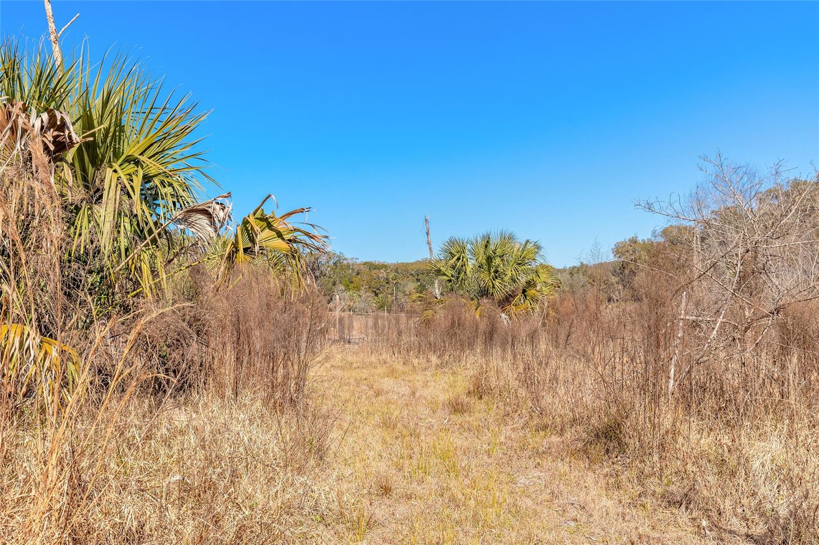 Image 10 of 32 For 2095 Stone Road