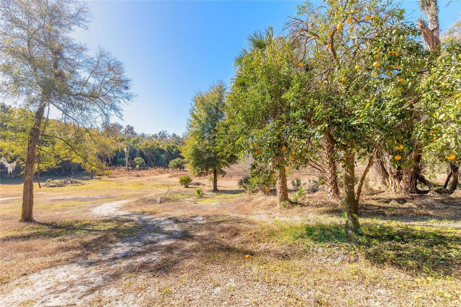 Image 20 of 32 For 2095 Stone Road