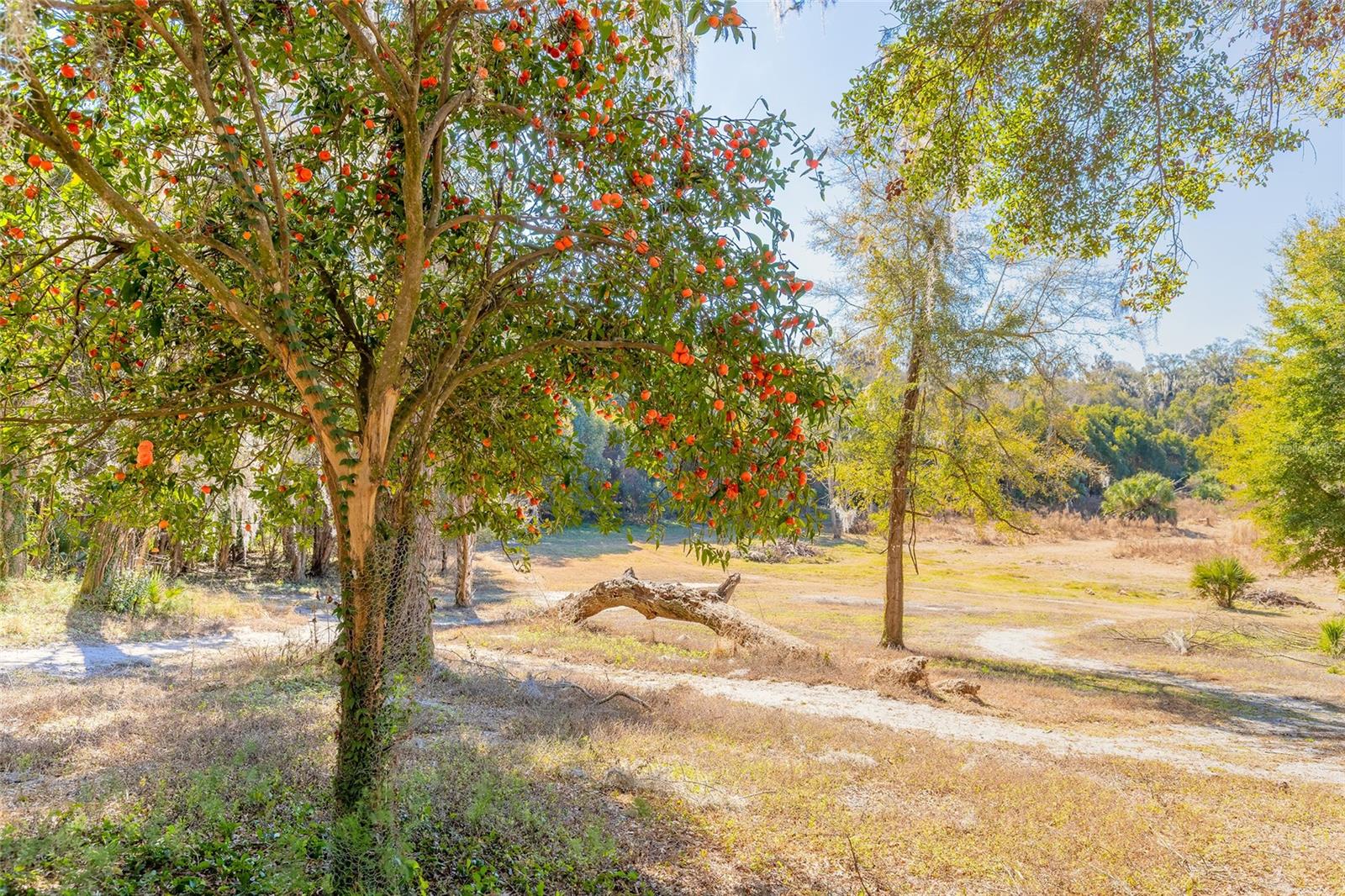 Image 21 of 32 For 2095 Stone Road