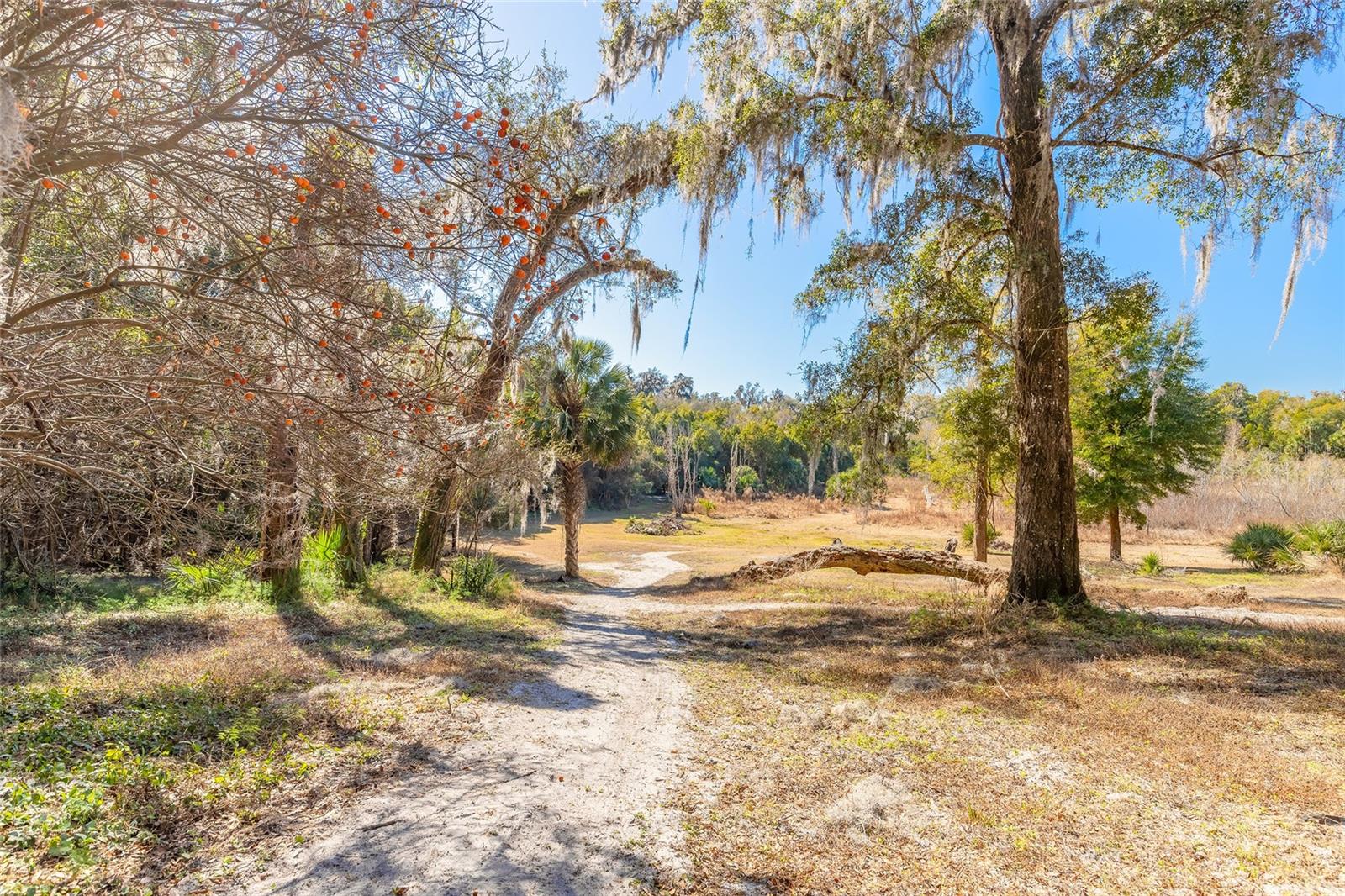 Image 26 of 32 For 2095 Stone Road