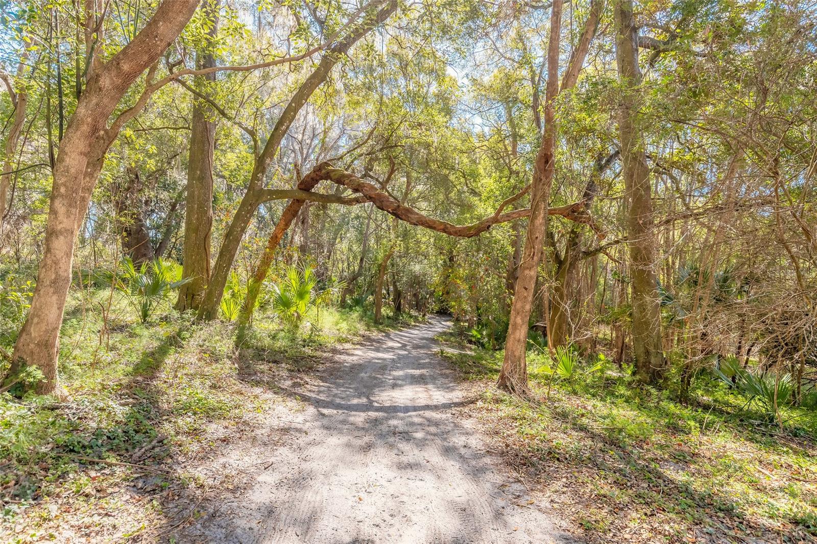 Image 27 of 32 For 2095 Stone Road