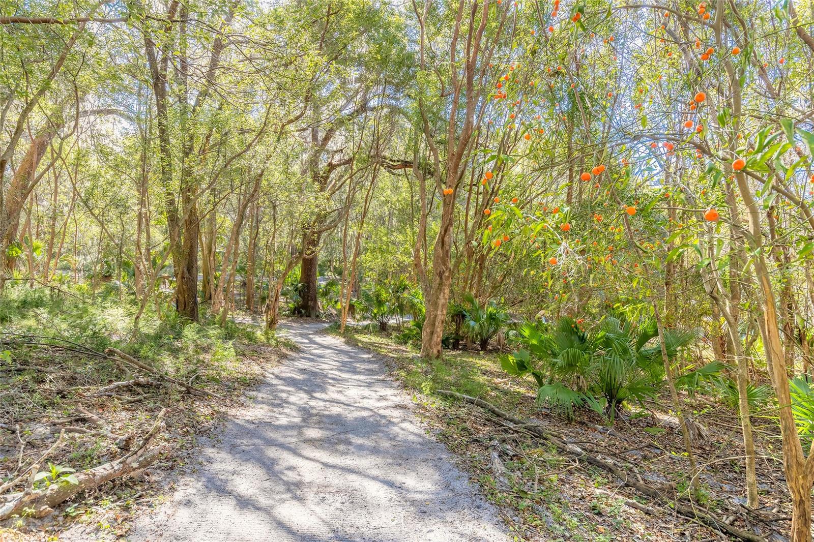 Image 30 of 32 For 2095 Stone Road