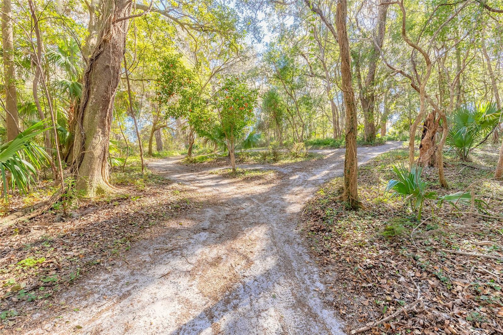 Image 31 of 32 For 2095 Stone Road