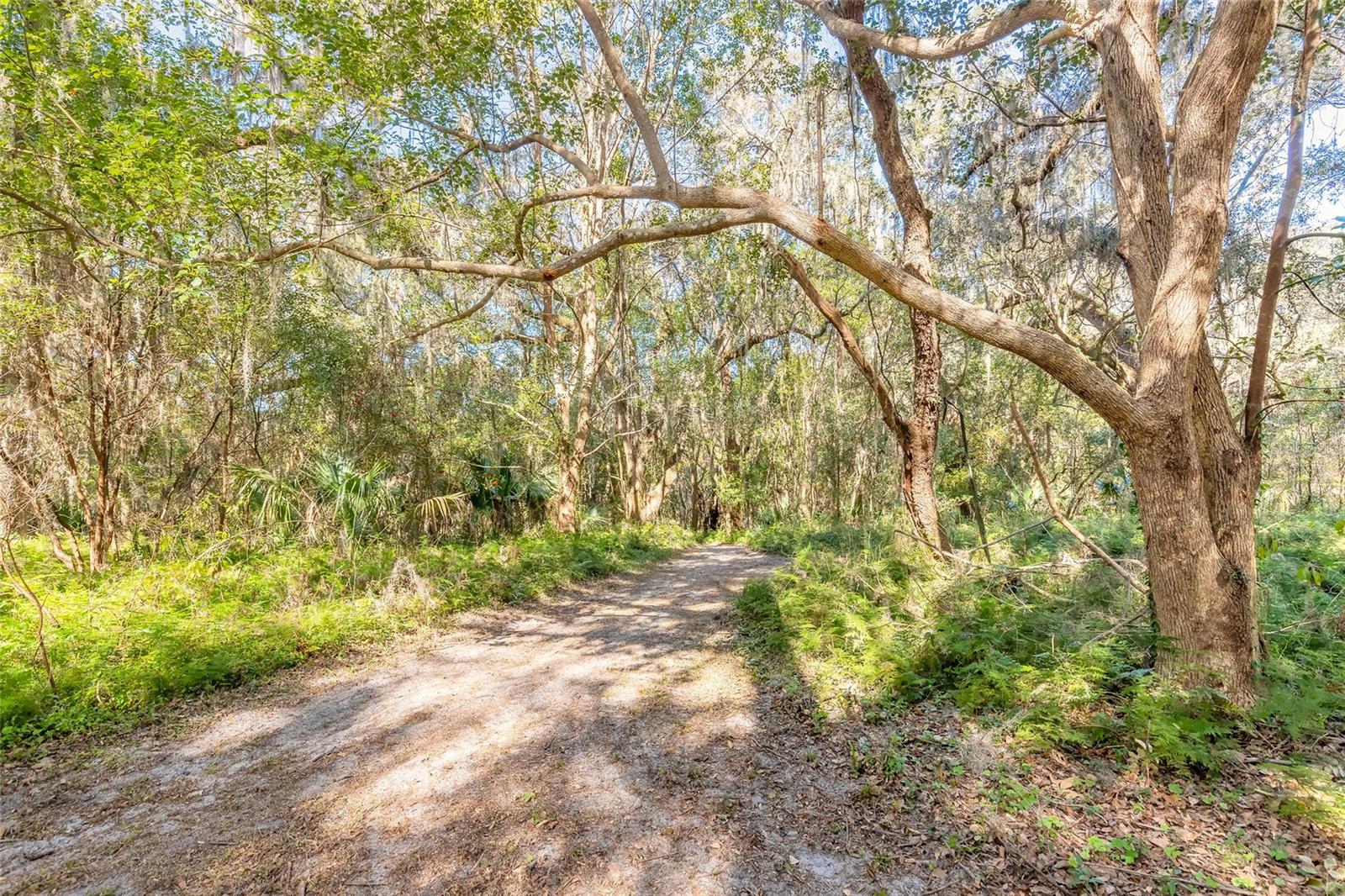 Image 4 of 32 For 2095 Stone Road