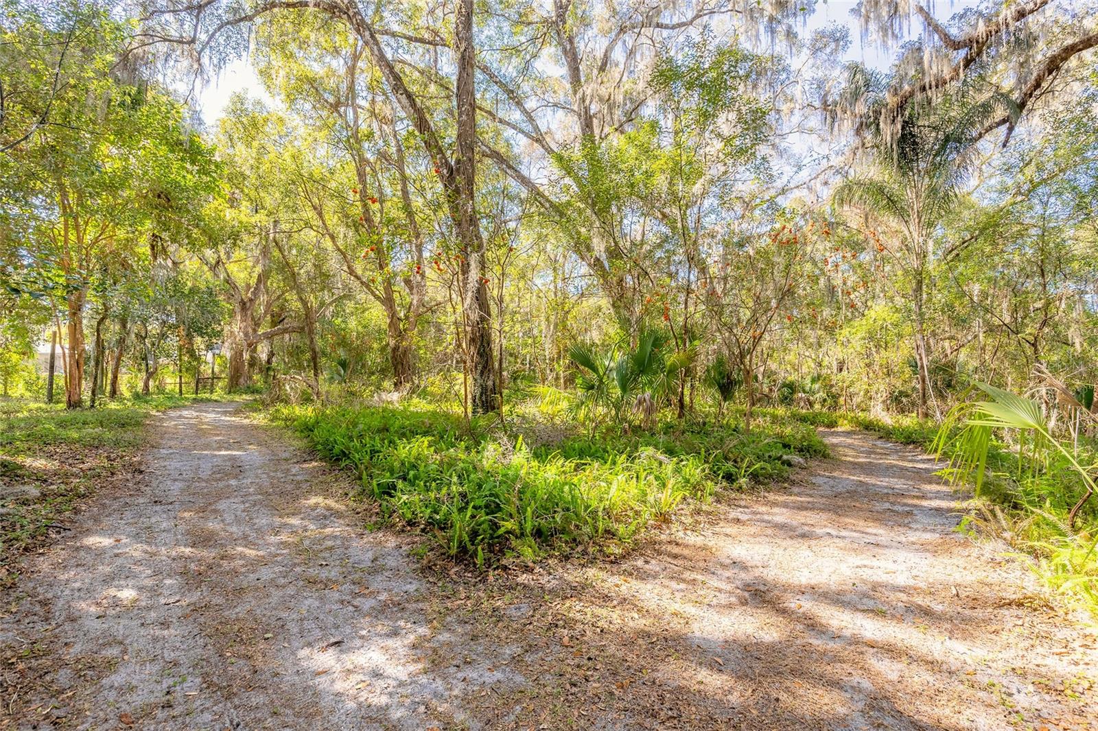 Image 5 of 32 For 2095 Stone Road