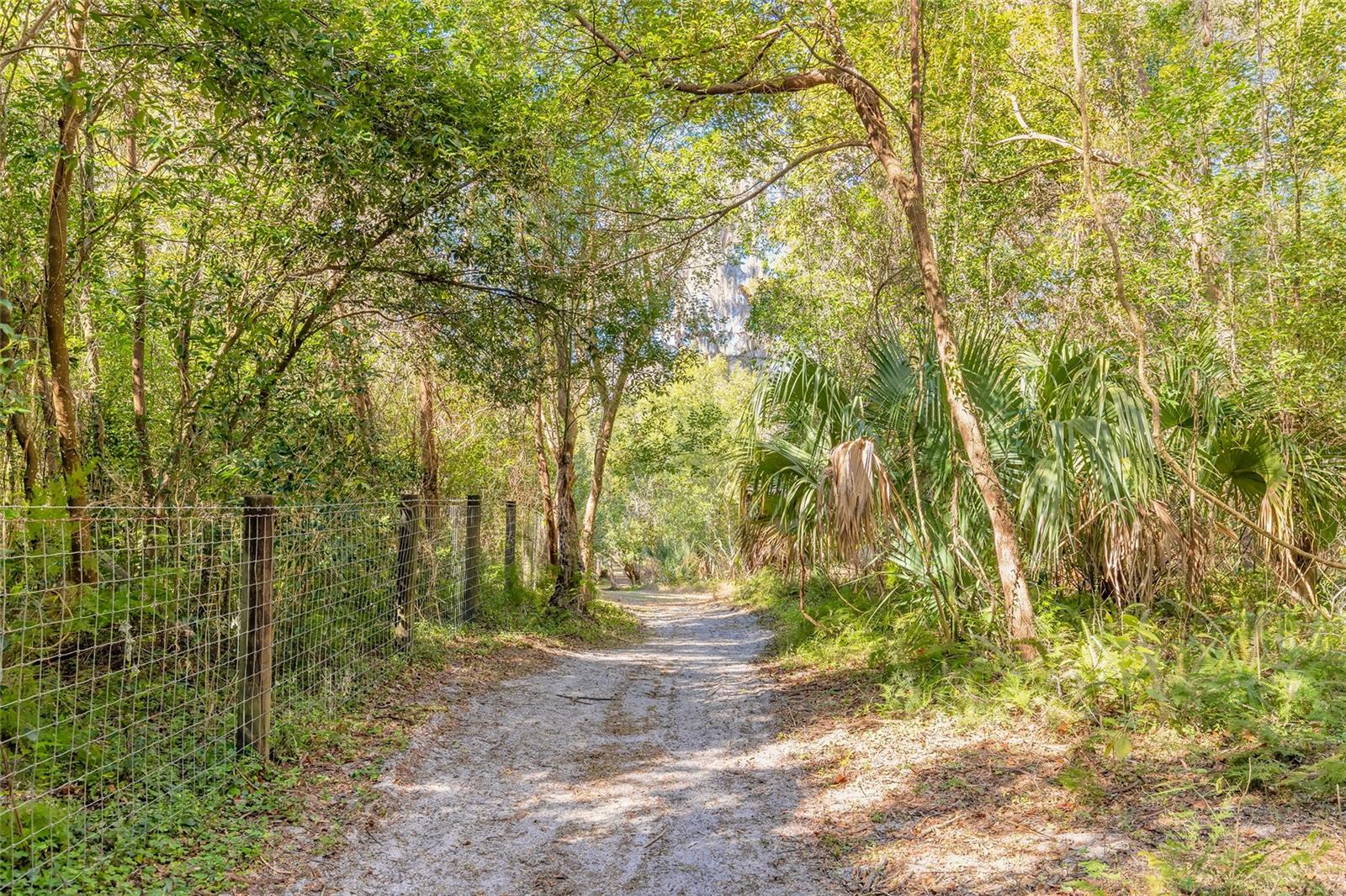 Image 6 of 32 For 2095 Stone Road