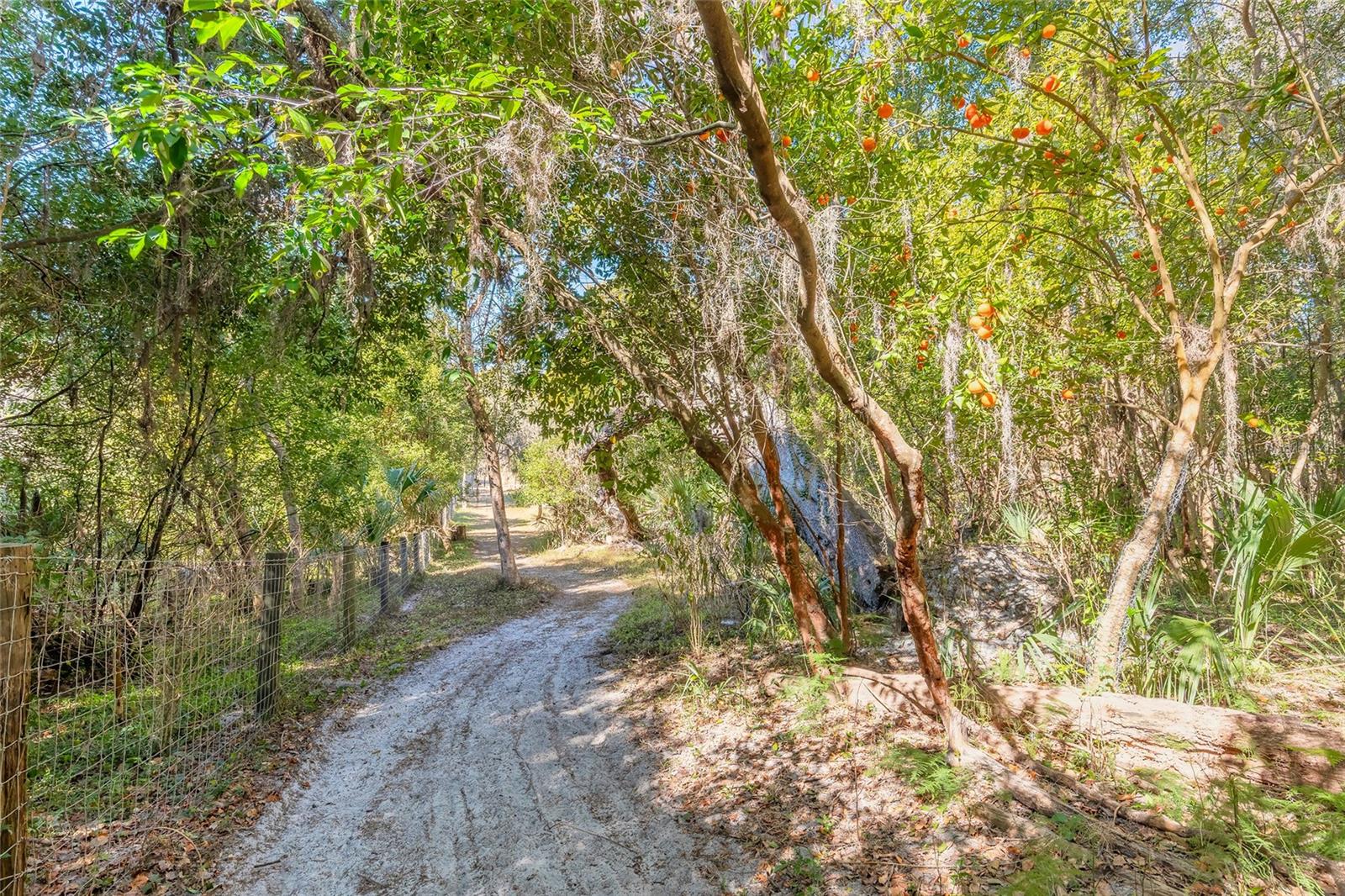 Image 7 of 32 For 2095 Stone Road