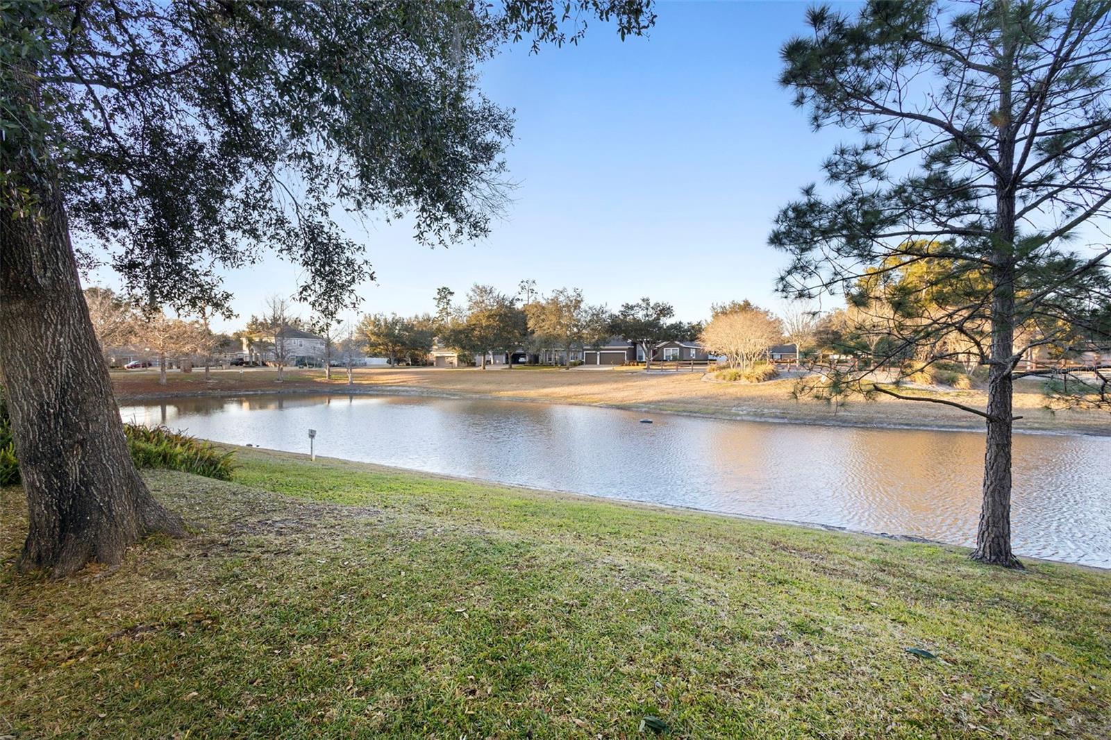 Image 31 of 42 For 322 Secretariat Court