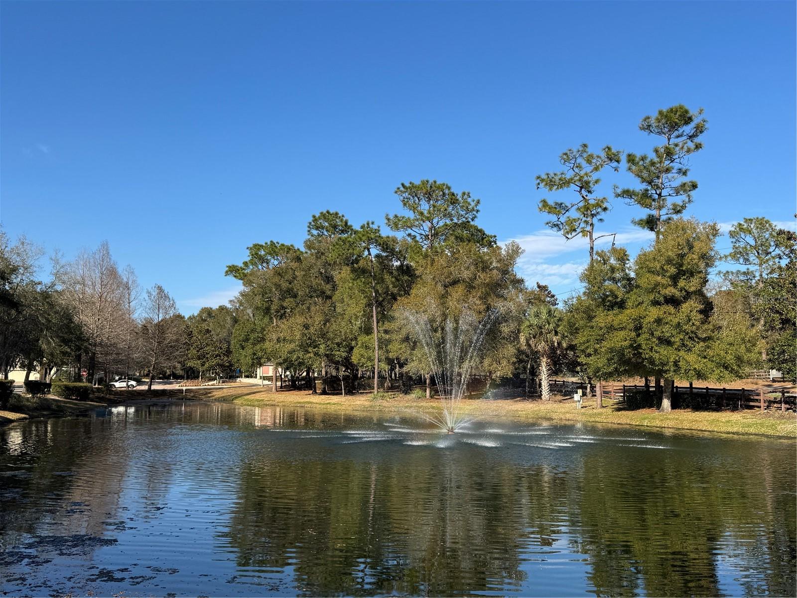 Image 33 of 42 For 322 Secretariat Court