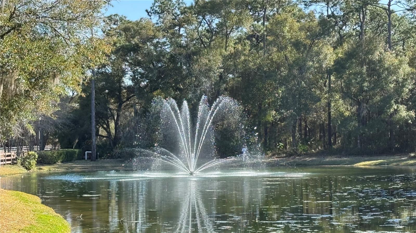 Image 39 of 42 For 322 Secretariat Court