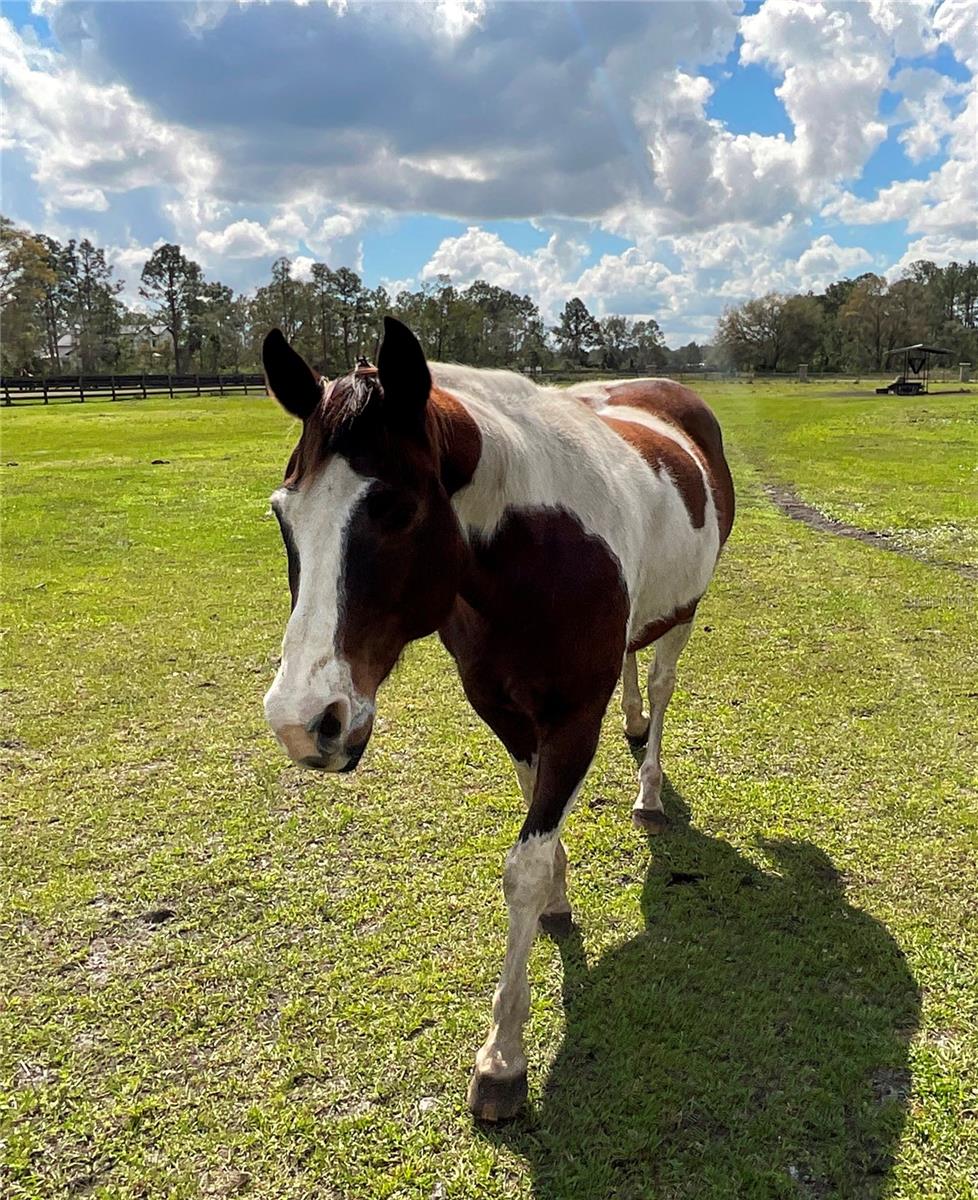 Image 36 of 38 For 1100 Tallacoe Trail