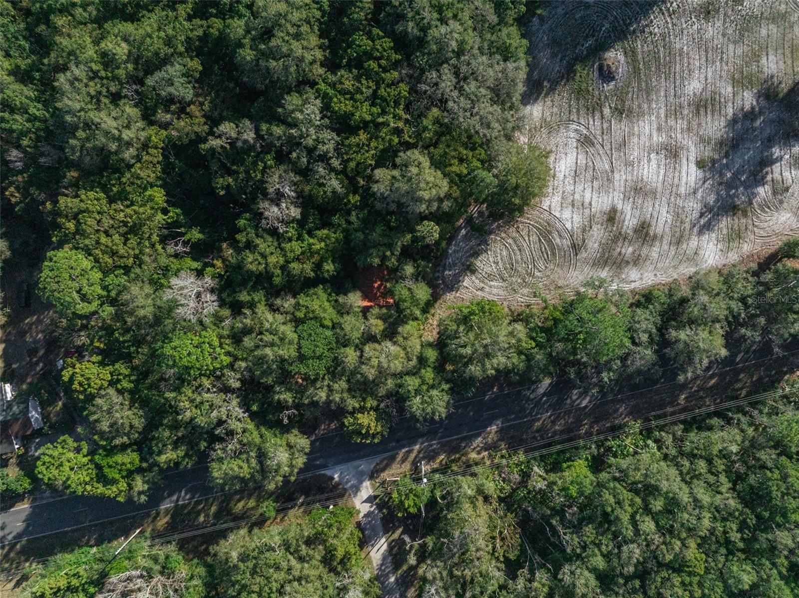 Image 5 of 10 For 589 Volusia Avenue