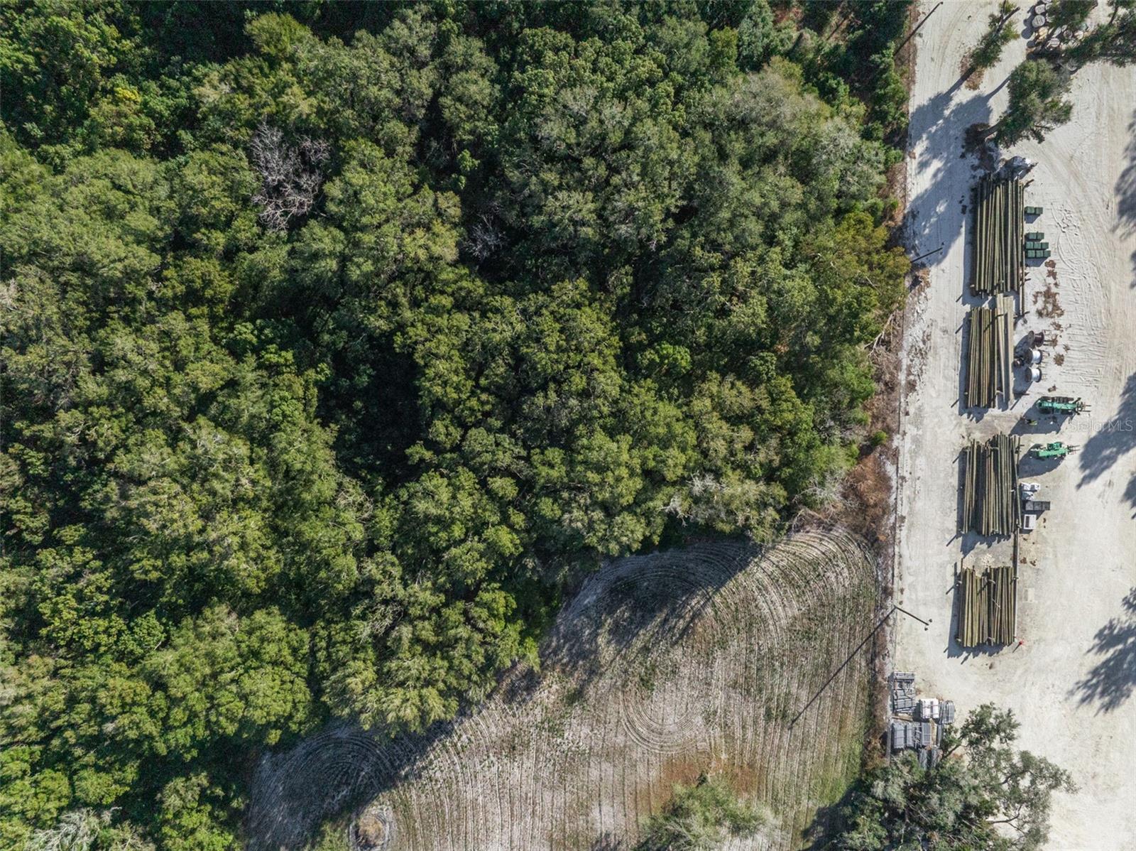 Image 8 of 10 For 589 Volusia Avenue