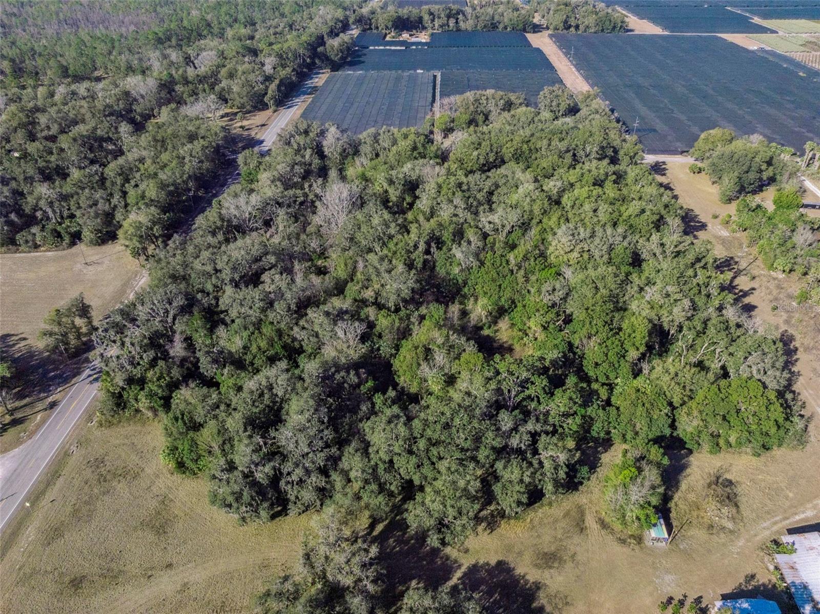 Image 11 of 18 For 1975 Stone Road