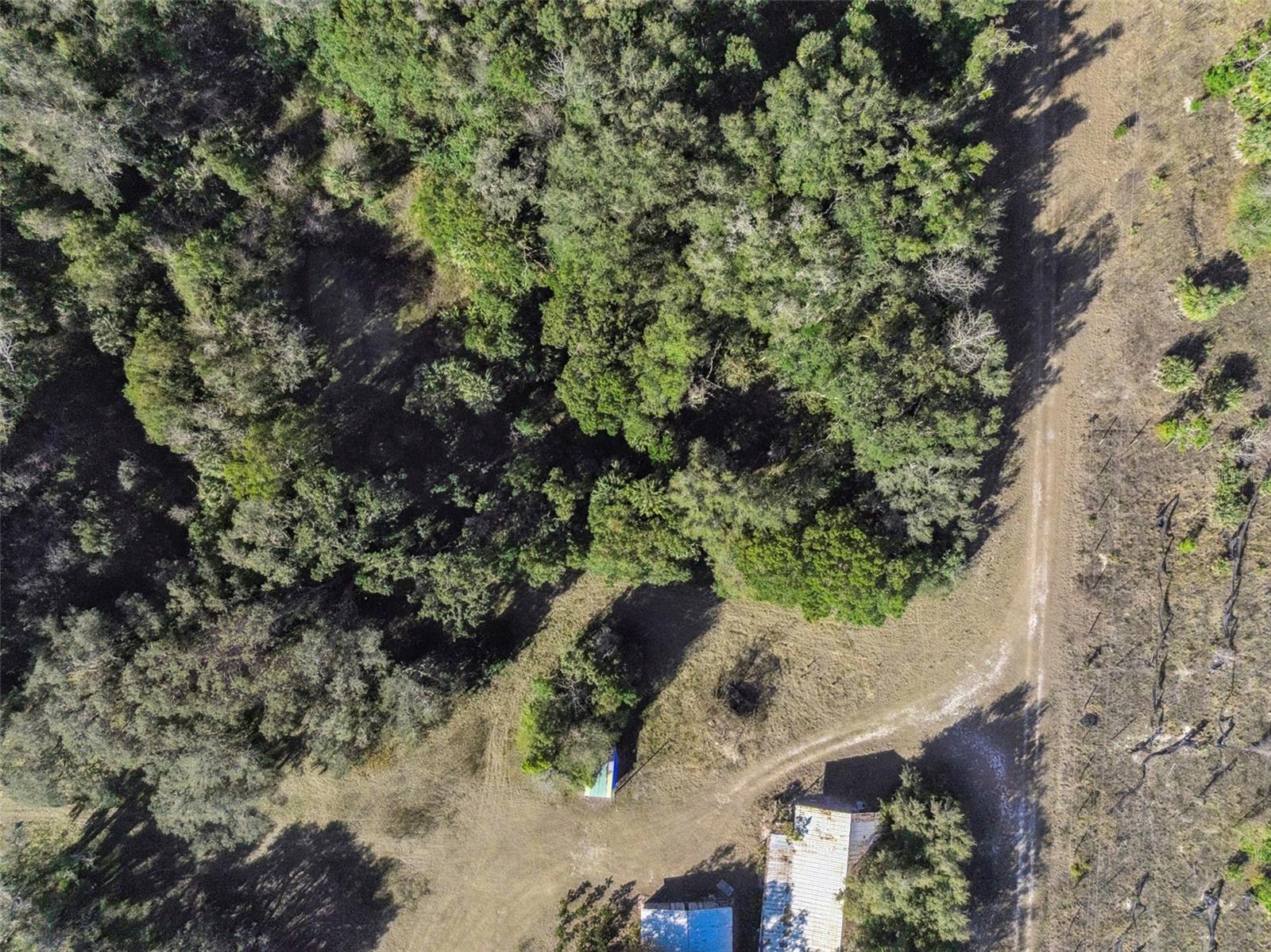 Image 13 of 18 For 1975 Stone Road