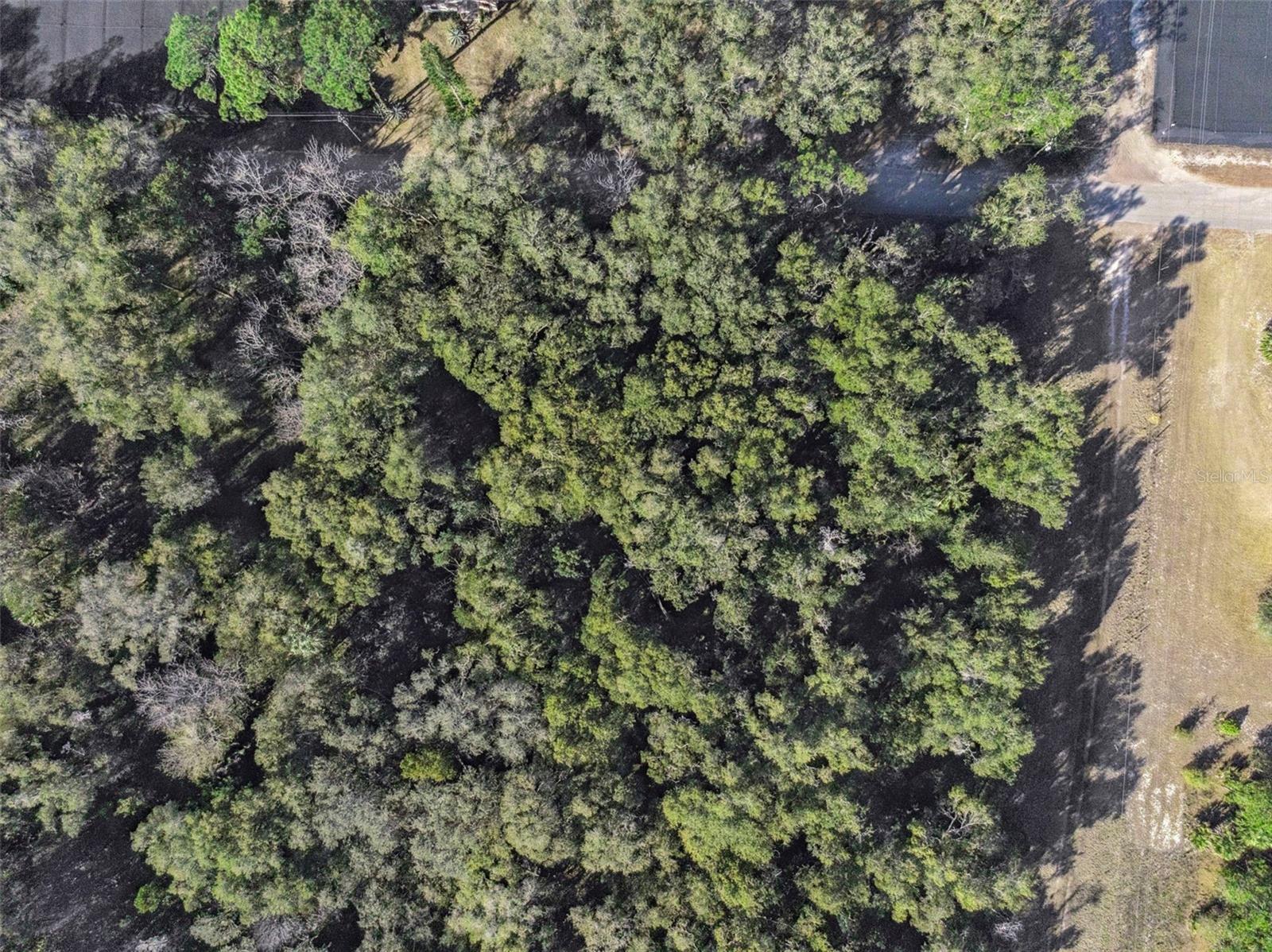 Image 14 of 18 For 1975 Stone Road