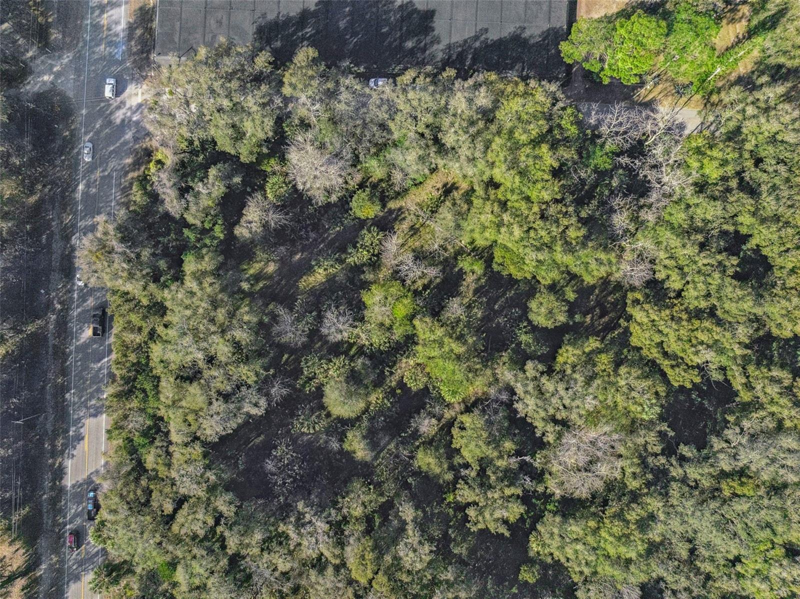 Image 15 of 18 For 1975 Stone Road