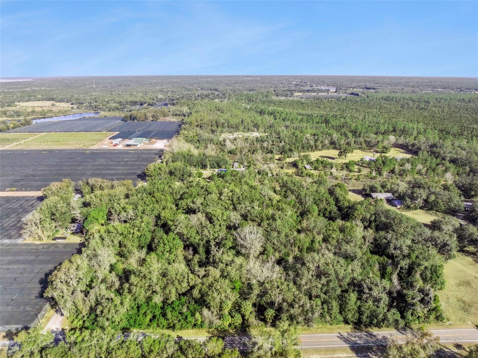 Image 16 of 18 For 1975 Stone Road